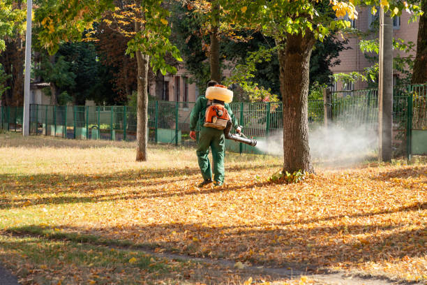 Pest Control Cost in Coto De Caza, CA